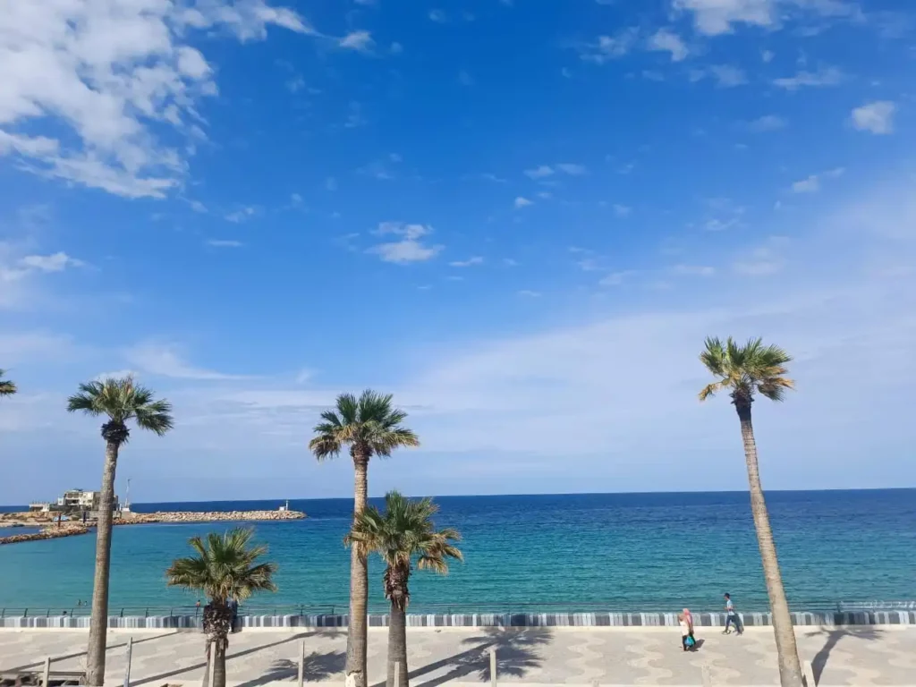 Vue de Monastir